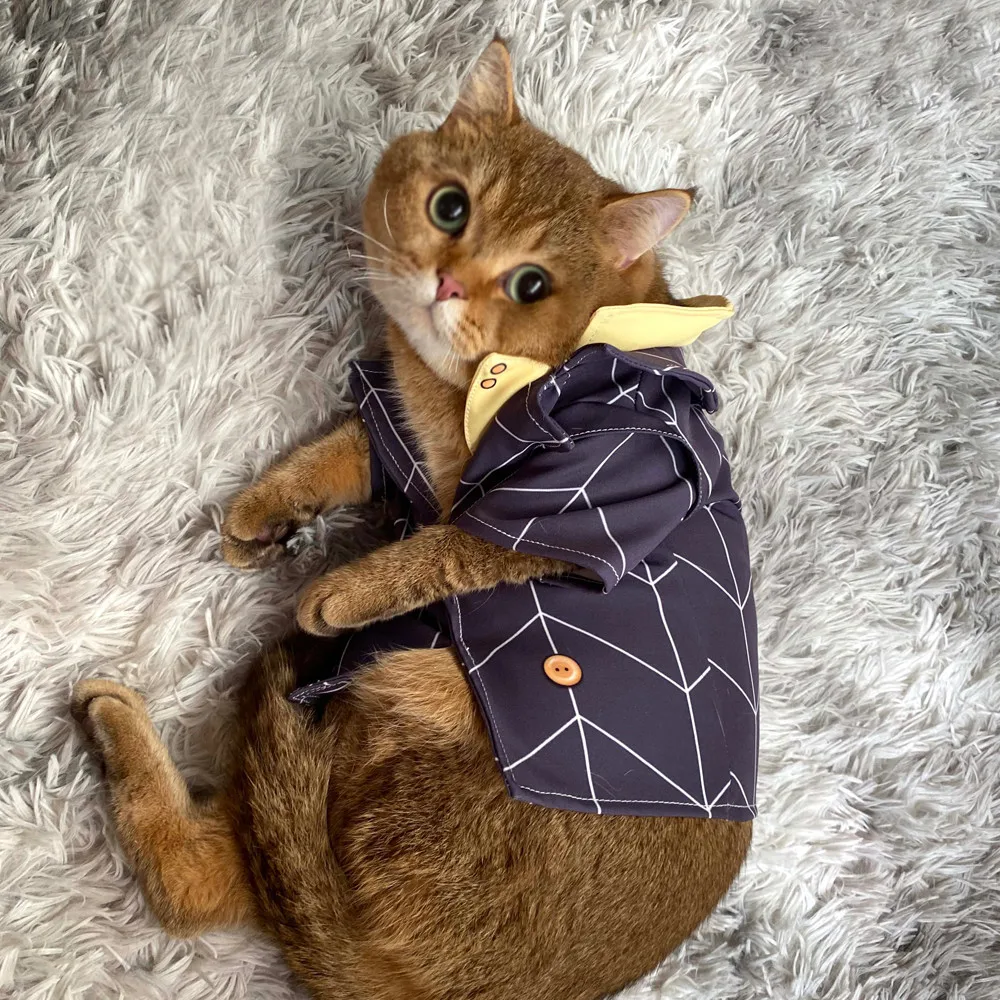 Костюм для косплея абацио из Невероятные приключения Джоджо |