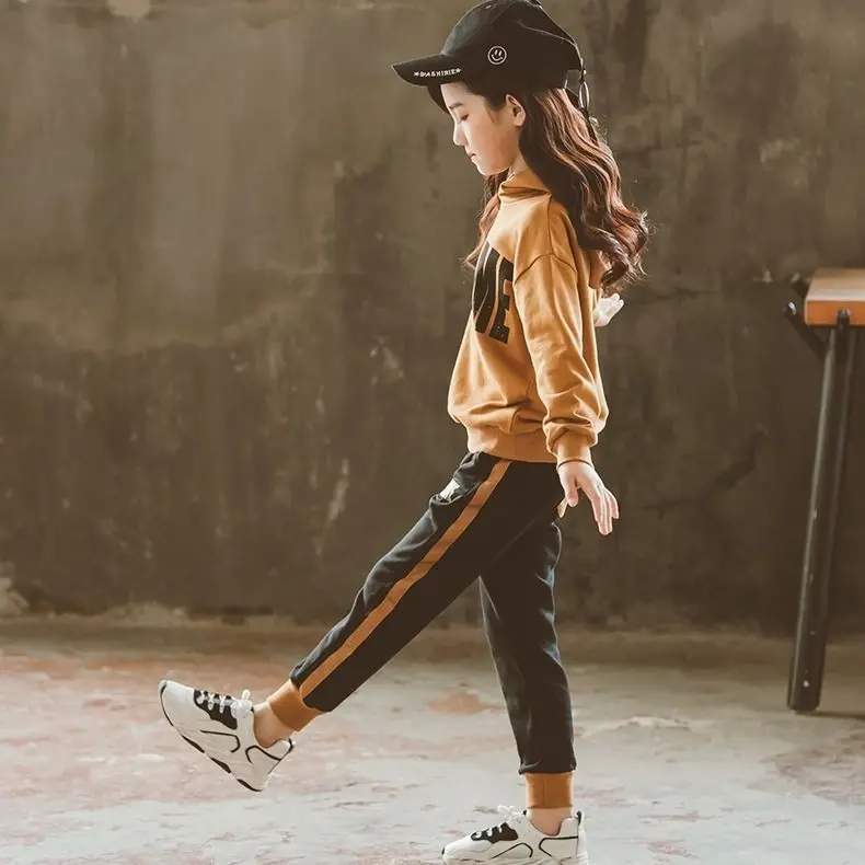 Комплекты одежды для девочек осенне-зимний детский костюм из толстовки с