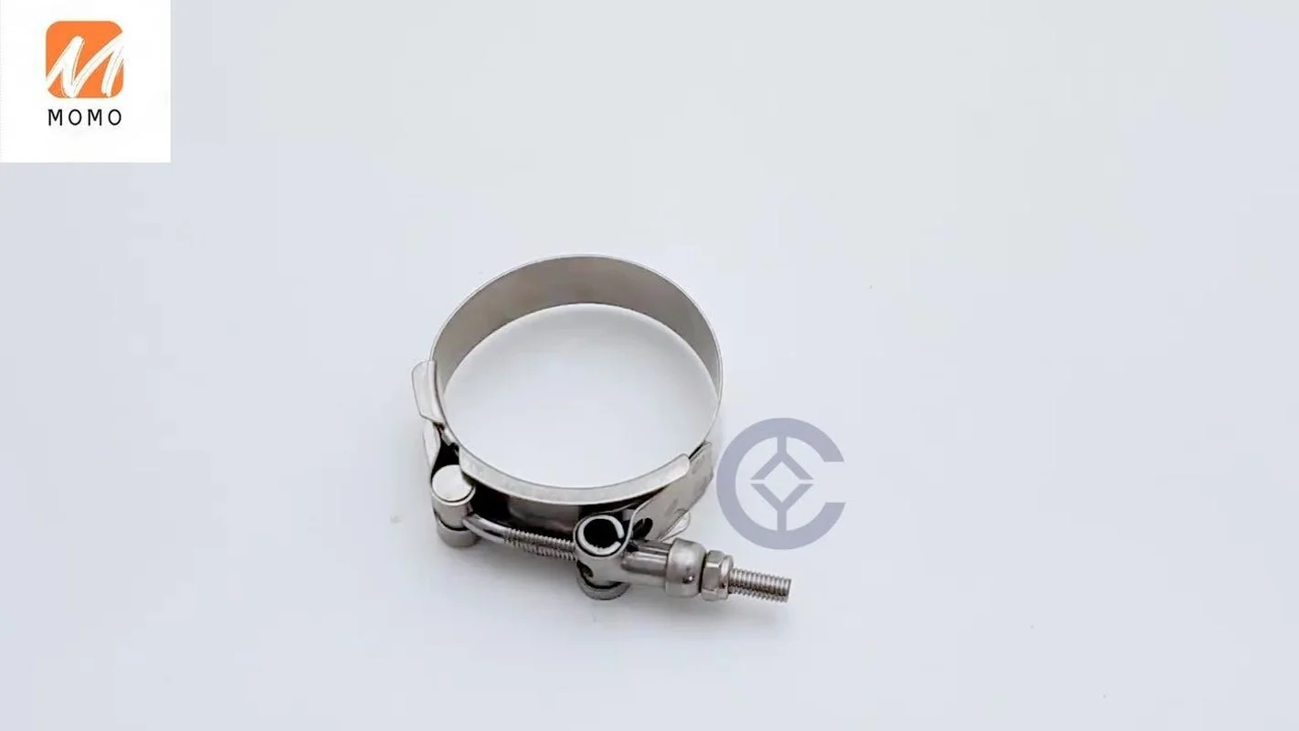

Rubber Air Hose Clips Clamps Pipe Spring Steel Inch Standard Check 5 Sanitary 3Abpe Factory Price