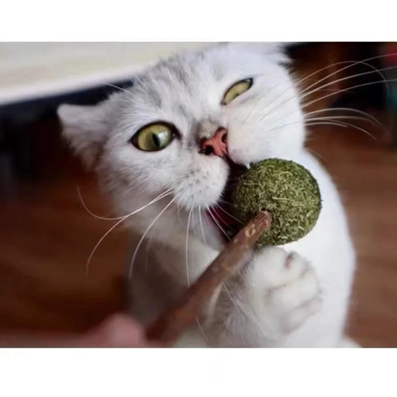 

Pet Toy Products Cat Mint Toothpaste Stick Catnip Natural Mutian Stick Catnip Lollipop Cats Kittens Chewing Bite Snacks Cat Toys