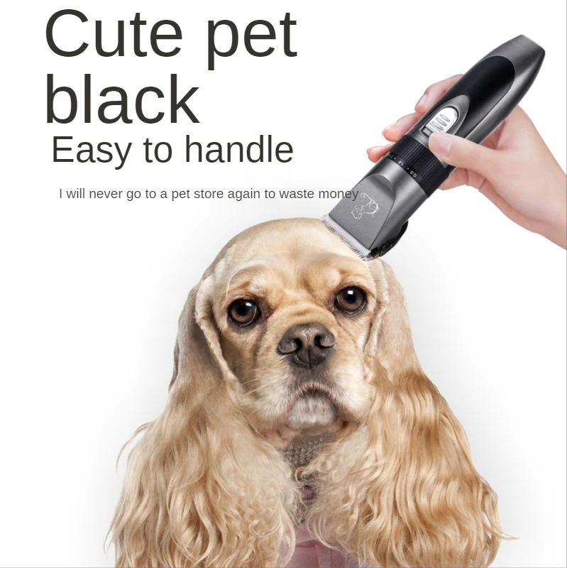 

Pet Products