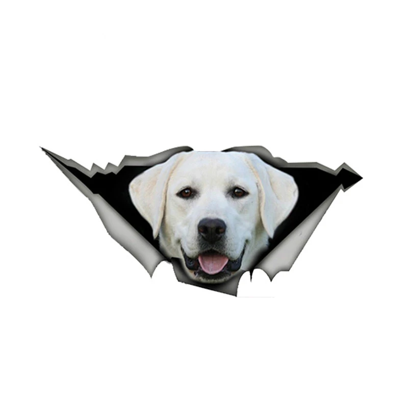

Dawasaru White Labrador Torn Metal Car Sticker Personalized Decal Laptop Motorcycle Auto Accessories Decoration PVC,13cm*6cm