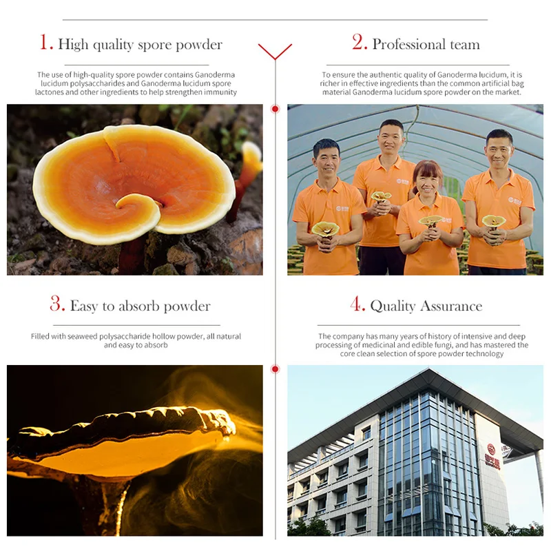 

5 Boxes Free Delivery Organic Ganoderma 30g 5 Sheet Bags Every Step Is Recorded Scientifically And Traceable Log-cultivated