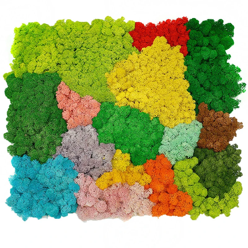 Natural Norwegian Moss Eternal Life Preserved Dried Grass Craft Flower Stamen For Wedding Wall Landscape Christmas Garden Decor | Дом и сад