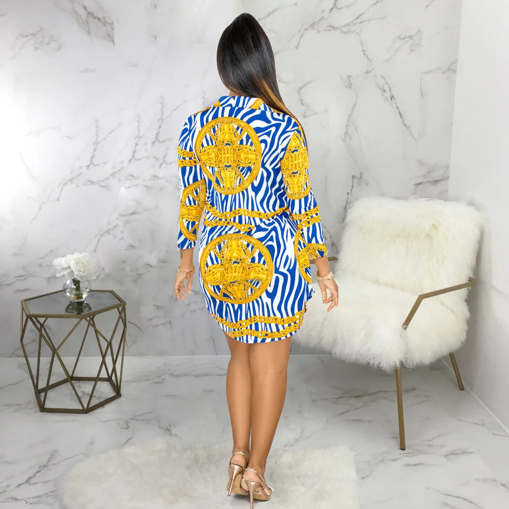 

Hot Sale Printed Shirt Multicolor Ladies Dress