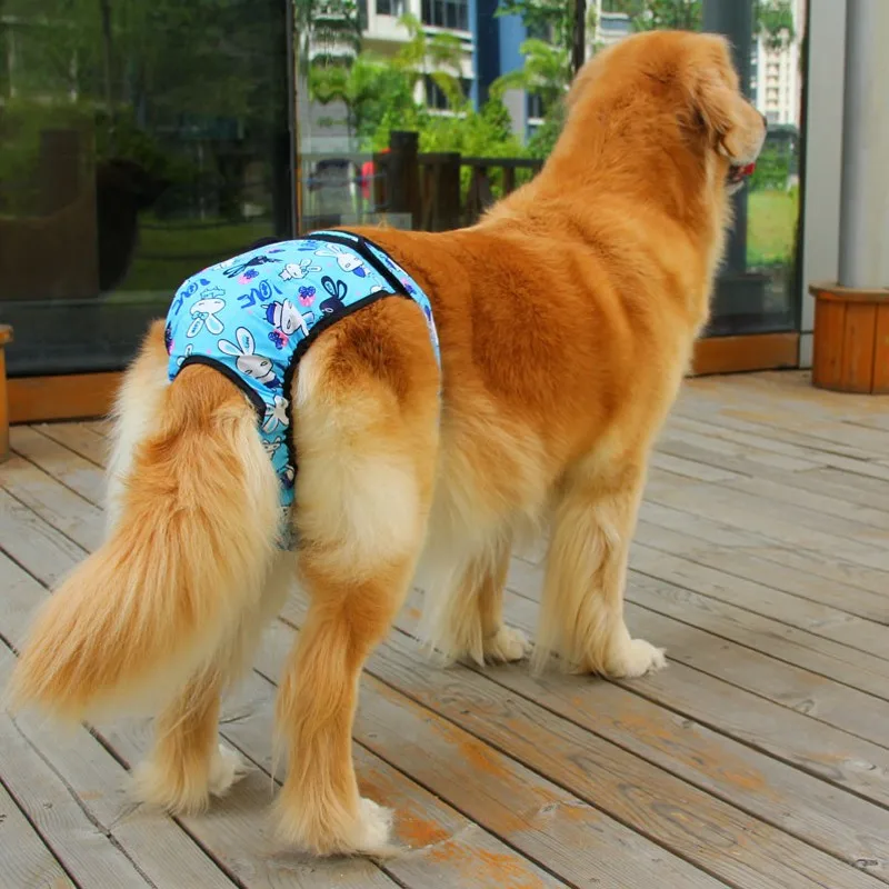 Новая Большая домашняя собака под брюки водонепроницаемая ткань женские шорты