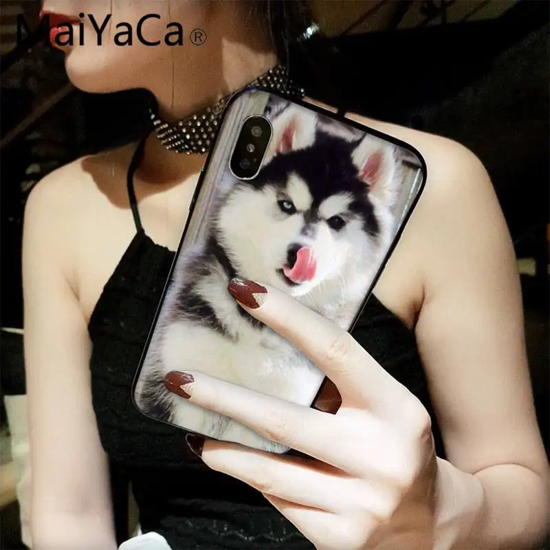 

MaiYaCa Animal Husky puppy Phone Case fundas for iPhone 12 8 7 6 6S Plus X XS MAX 5 5S SE XR 11 12 pro promax shell