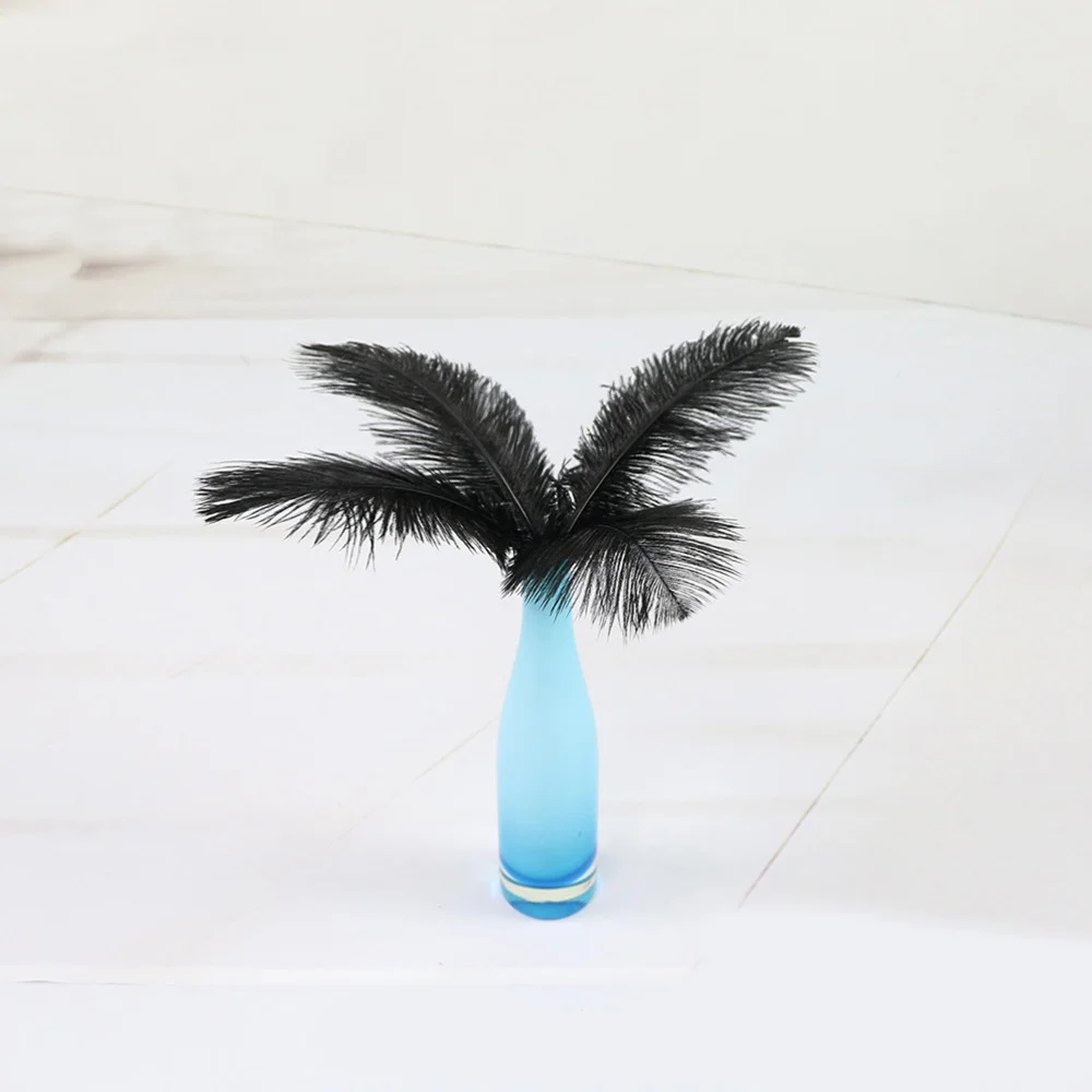 

24pcs Feathers Tail Feathers for Home Wedding Decoration(Black/ 25-30cm)