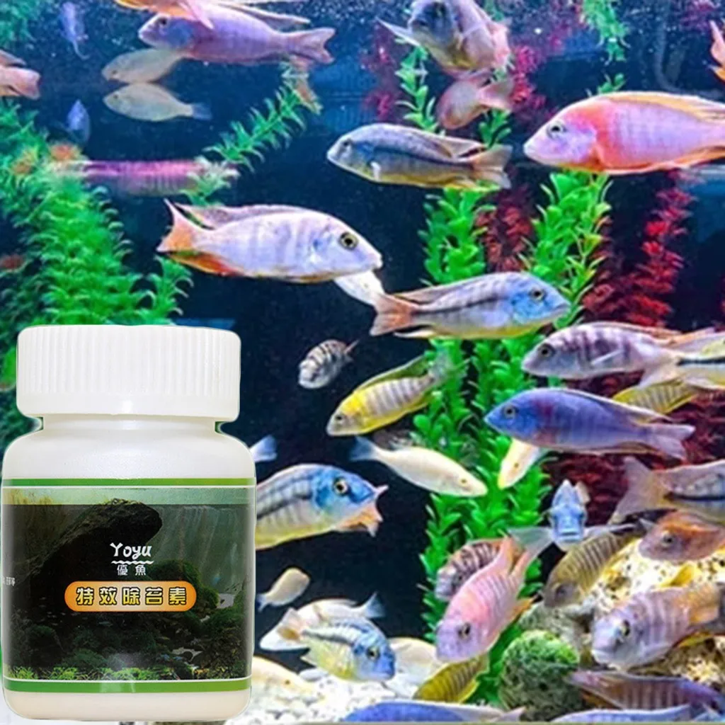 High Capacity Aquarium Algaecide Aquatic Algae Control Algae Detergent Purification Water Hot Selling Support Wholesale