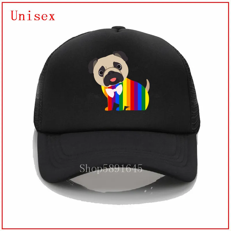 Шляпа гей Прайд мопс аниме шляпа крест накрест шапка с отверстием для хвоста