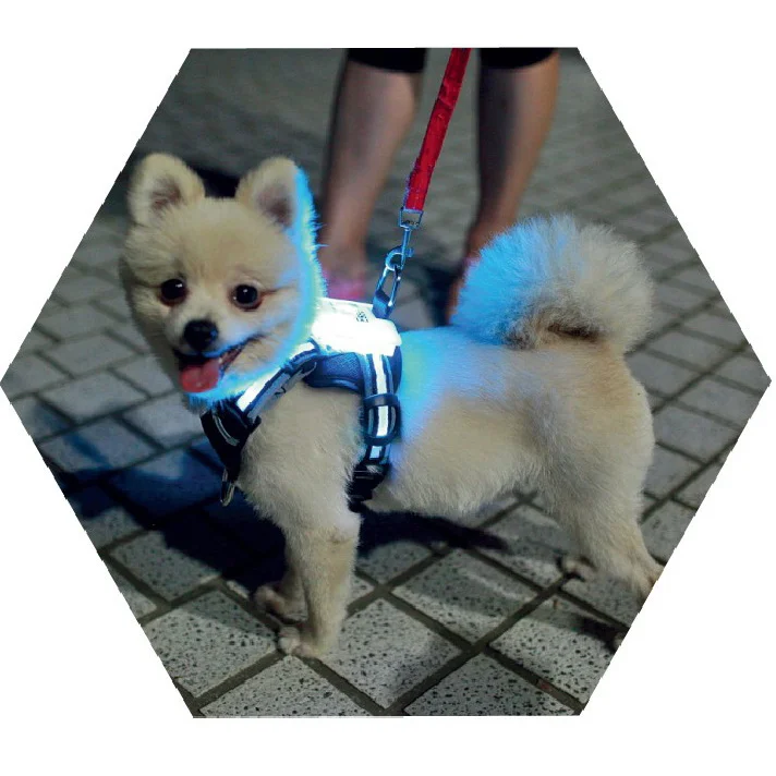

cc cimon reflective Wholesale heavy duty dog chain lead rope metal buckle Multicolor nylon pet led dog harness leash