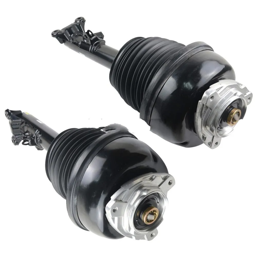 Рисунок 6 - Пневматическая подвеска AP02