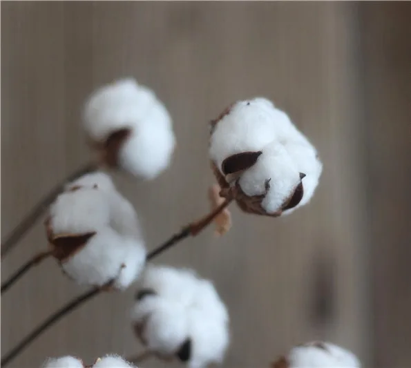 Деревенский стиль Технология вечная жизнь хлопок домашний интерьер украшение