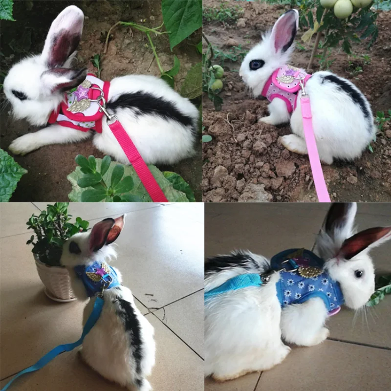 Маленький питомец блестящий жилет Крыло ангела для кошки | Дом и сад