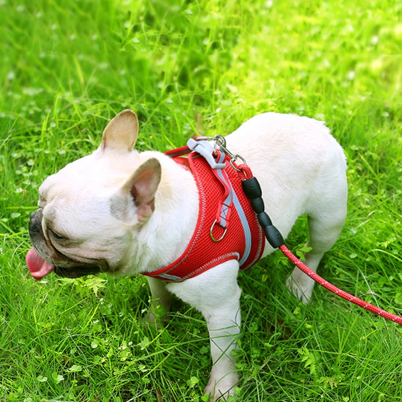 Светоотражающая шлейка для собак нагрудный ремень регулируемый поводок