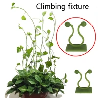 25pcs plant climbing wall clip invisible wall vines fixture wall sticky hook holder plant cages plant supports clip vine clip
