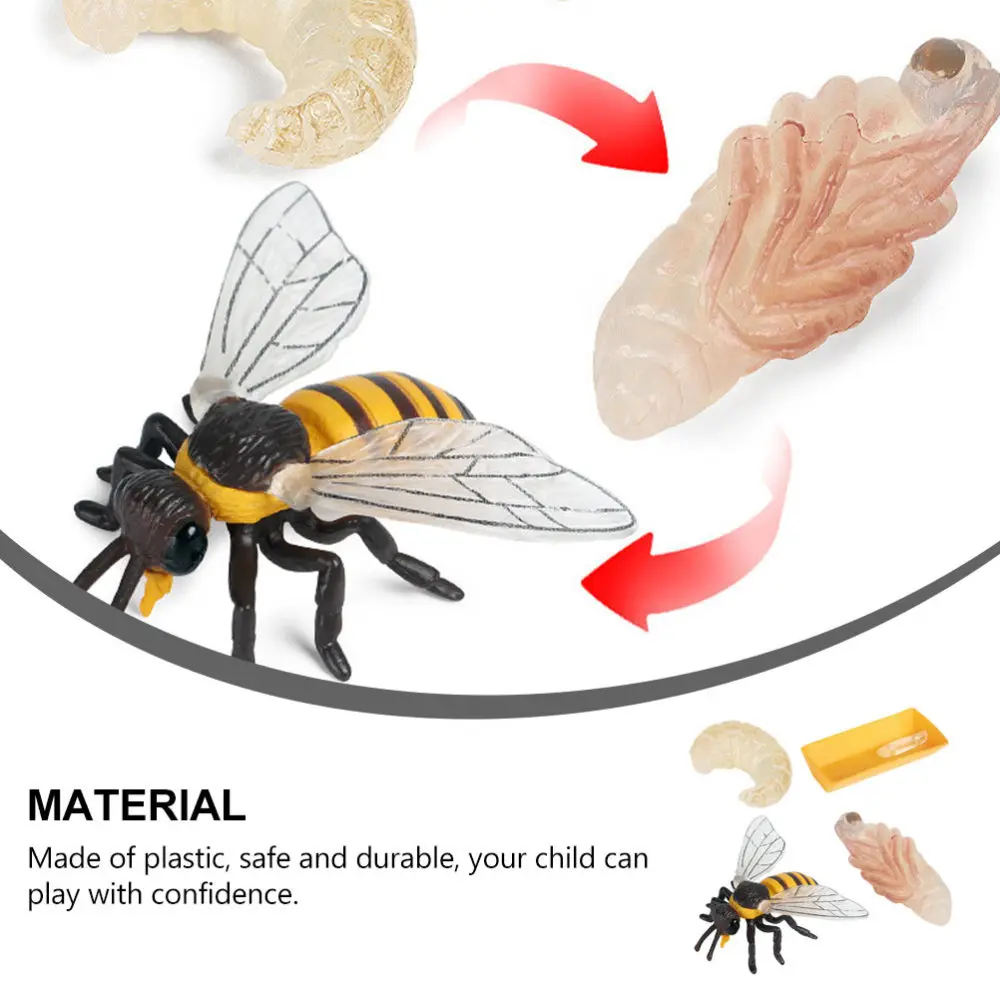 

1 Set/4pcs Imitation Bee Life Cycle Figurines Funny Children Cognitive Toy Model
