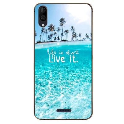 Для Wiko Y80 Y 80 чехол 5,9" Роскошный чехол из ТПУ и силикона чехол s для Wiko Y60 Y60 5,45 дюймов задняя крышка телефона Funda Coque - Цвет: W22