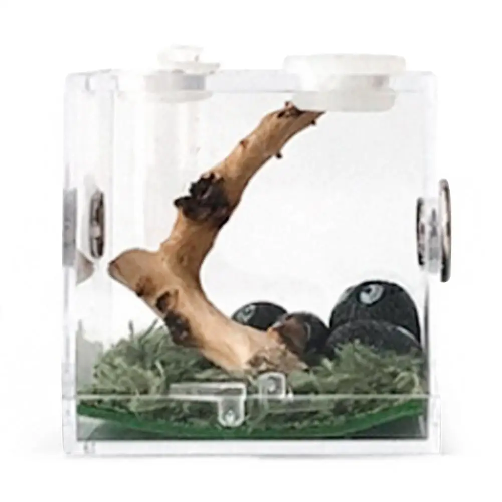 

1Pcs Breeding Box - Transparent Insect Feeding Boxes - Portable Acrylic Reptile Enclosure - Breeding Container With Metal Ventil