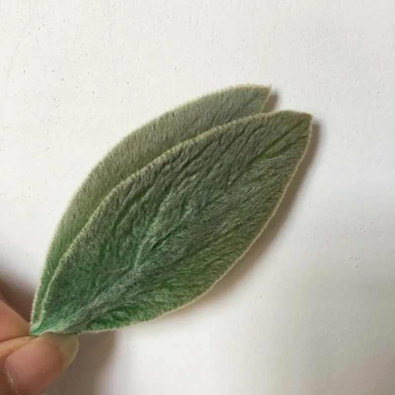 

20 шт. сохраненных листьев, цветок вечной раковины, «сделай сам», реальная вечная жизнь, свадебные подарки, украшение для домашней подарочной...