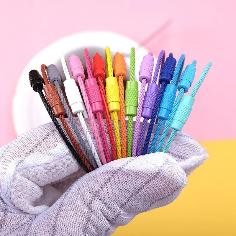 

10pcs Set Color Paint Wire Rope Car Key Ring Keychain DIY Accessories Multifunctional Steel Wire Car Key Ring Pendant Key Chains