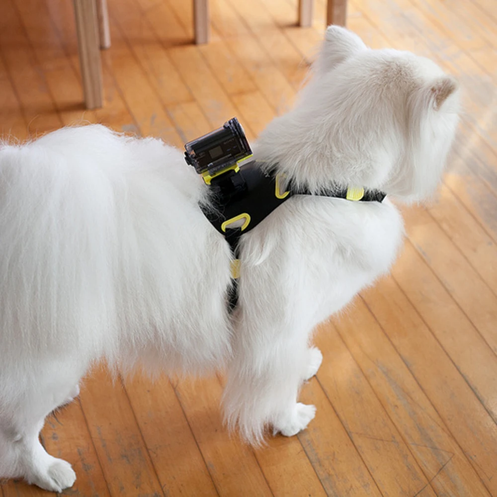 Экшн камера с креплением для собак экшн Sony в виде камер функцией AS300V AS200V AS50V |Чехлы