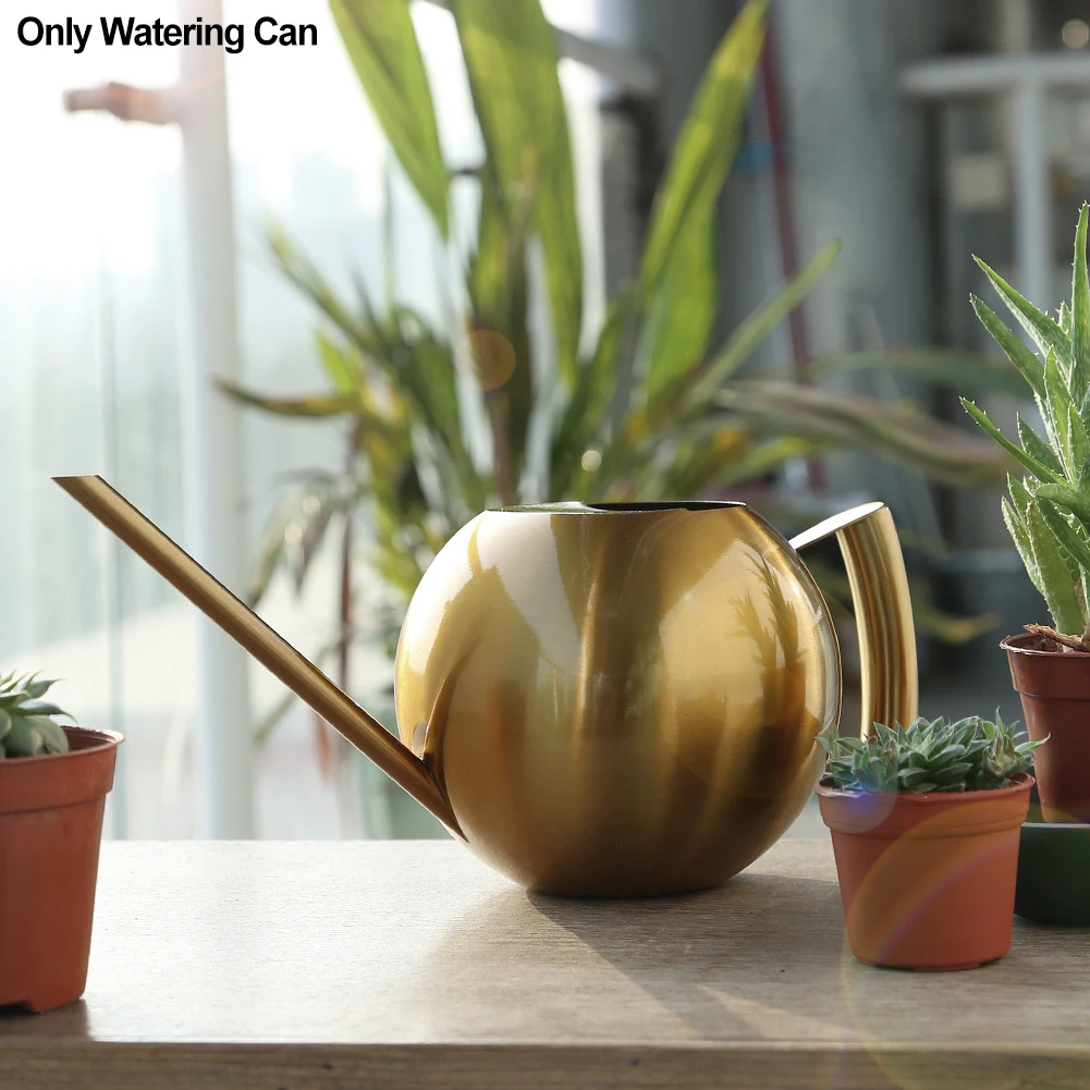 

1000ml Stainless Steel Indoor Outdoor Garden Tool Practical Long Spout Prevent Spillage Watering Can Smooth Non Slip Bonsai