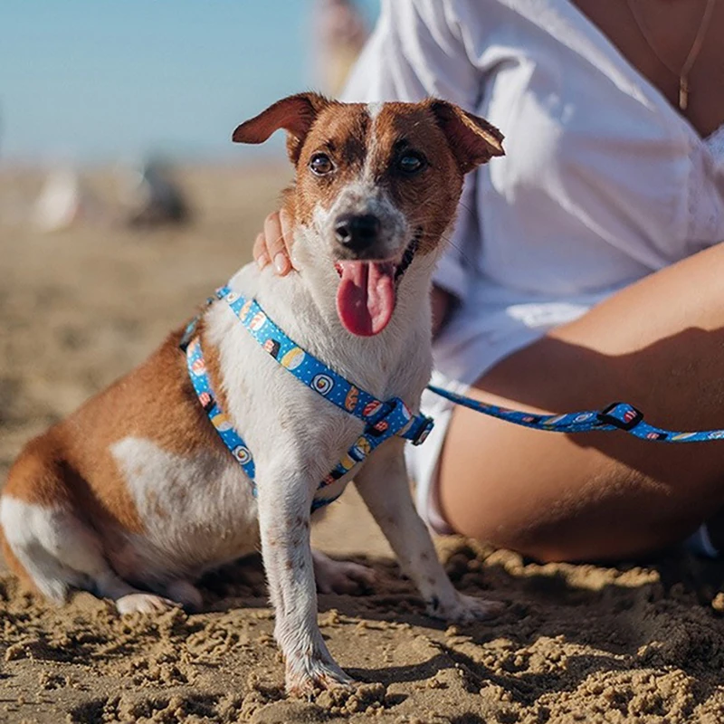 Поводок для домашних собак 2020 новые суши сигареты напечатанные регулируемые i