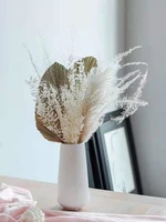 palm leaves white large pampas grass natural dried flowers luxury interior house deco nordic boho home decor wedding decoration
