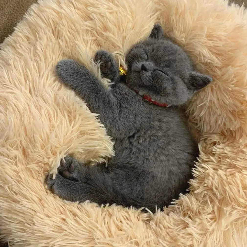 

Round Plush Pet Bed Pet Nest Bed Cats And Dogs Round Plush Material Winter Practical Pet Mats Suitable For Small And Medium Pets