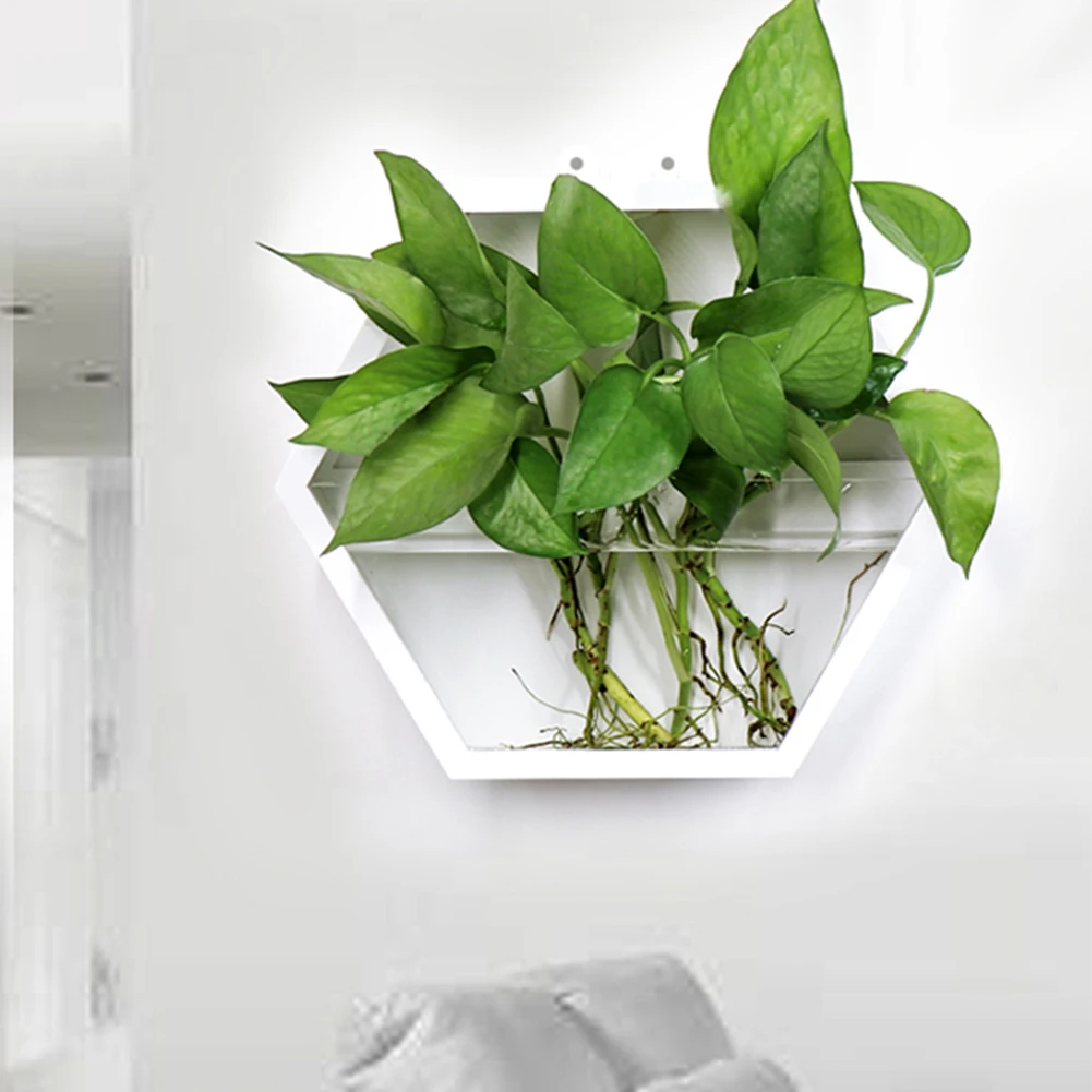 Настенный акриловый цветочный горшок с хлорофитумом для отелей Современное