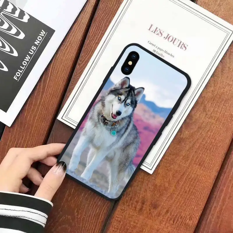 

Husky Dog animal high quality Phone Case for iPhone 11 12 mini pro XS MAX 8 7 6 6S Plus X 5S SE 2020 XR