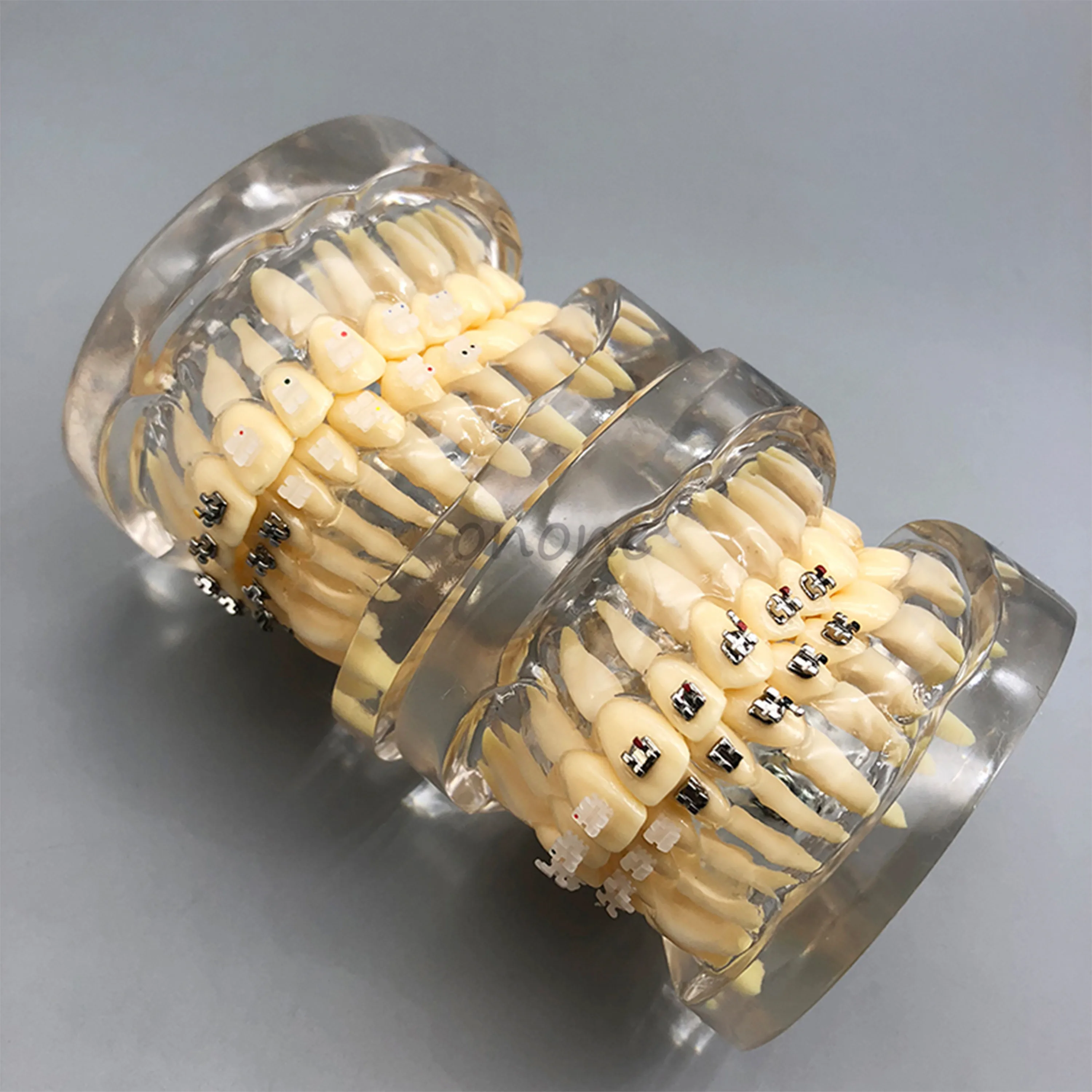 1 шт. Стоматологическая Ортодонтическая пластина для Typodont зубы модель в