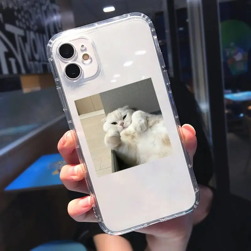 

cat animal card love Phone Case Transparent for iPhone 11 12 mini pro XS MAX 8 7 6 6S Plus X 5S SE 2020 XR