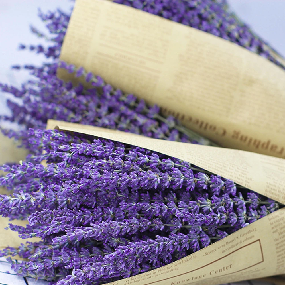 Сухие цветы Синьцзян Yili Букет Лаванды оптом в упаковке отборное украшение для