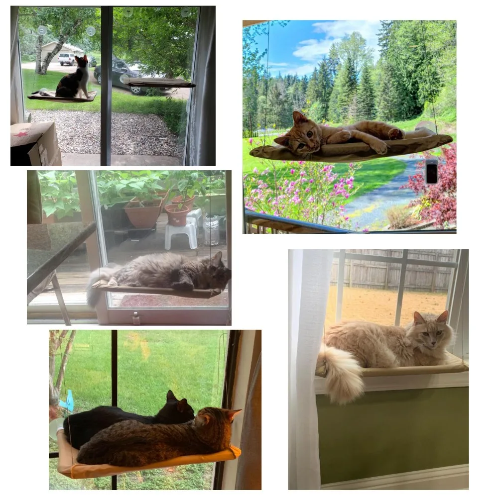 

Cat Resting Seat Perch Window Hammock Pet Hanging Sleeping Beds Mount Pet Cat Hammock Comfortable Cats Pet Bed Bearing 20kg