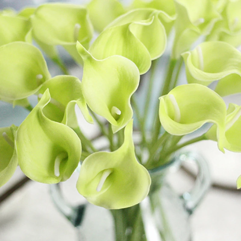 30 шт./лот искусственный белый настоящий для дома сушеные Цветочные венки