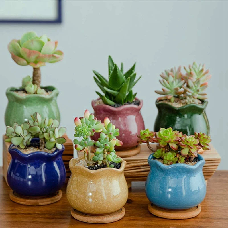 20 пачек из бамбука блюдца-3 34 дюймов круглый цветочный горшок для суккулентных