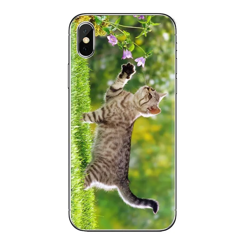 Обои для iPhone XS Max XR X 4 4s 5 5S 5C SE 6 6S 7 8 Plus samsung Galaxy J1 J3 J5 J7 A3 A5 |