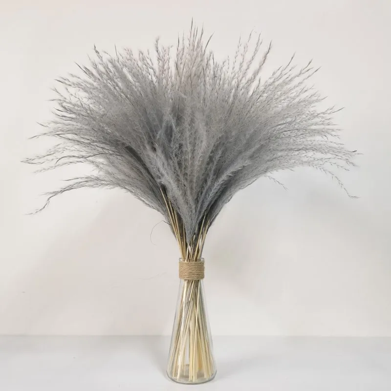 

Natural Real Plants Dried Pampas Grass Phragmite Horsetail Whisk Reed Flower Bunch Home Wedding DIY Bulrush Decoration Accessory