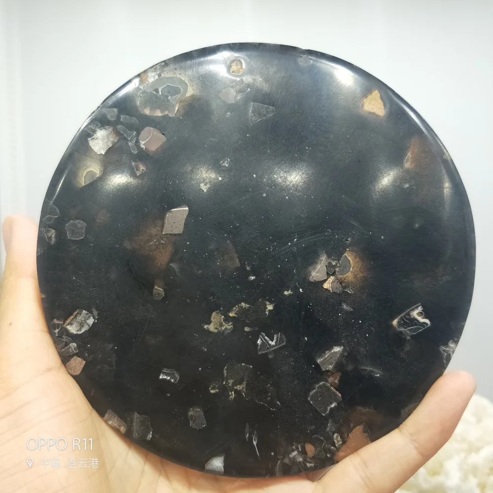 Ammonite Fossil Slice Plate Natura Shell a compassl MADAGASCAR FOSSIL SPECIMEN HEALING fashion wedding decoration