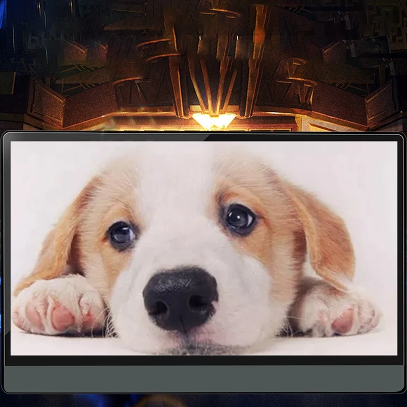 

P14A Portable Display 14-Inch HDMI Ultra-Thin High-Definition Sn HDR 1080P Portable Phone Computer Display