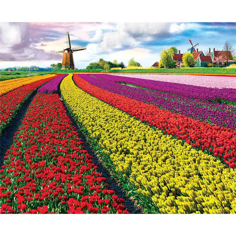 Картина по номерам рамки Раскраска домашний декор картины пейзаж дерево цветок