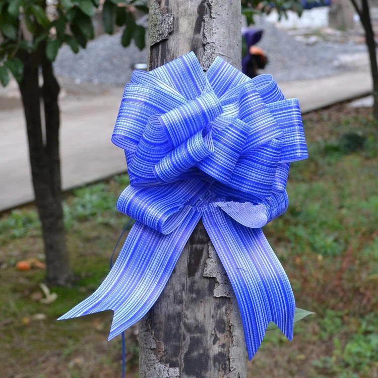 10 шт./Лот новые большие милые подарочные ленты украшение на день рождения/свадьбу