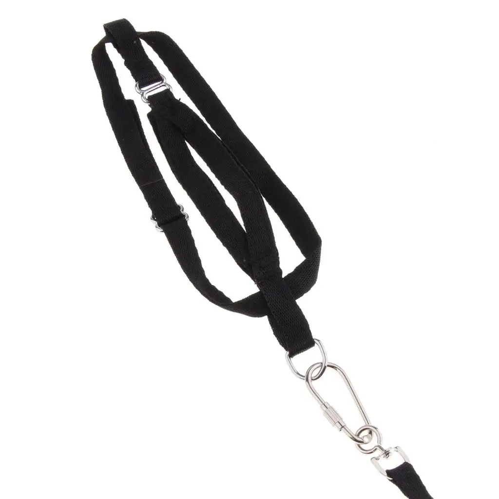 

Harness And for Birds for Medium to Large Breed Macaw Cockatoo
