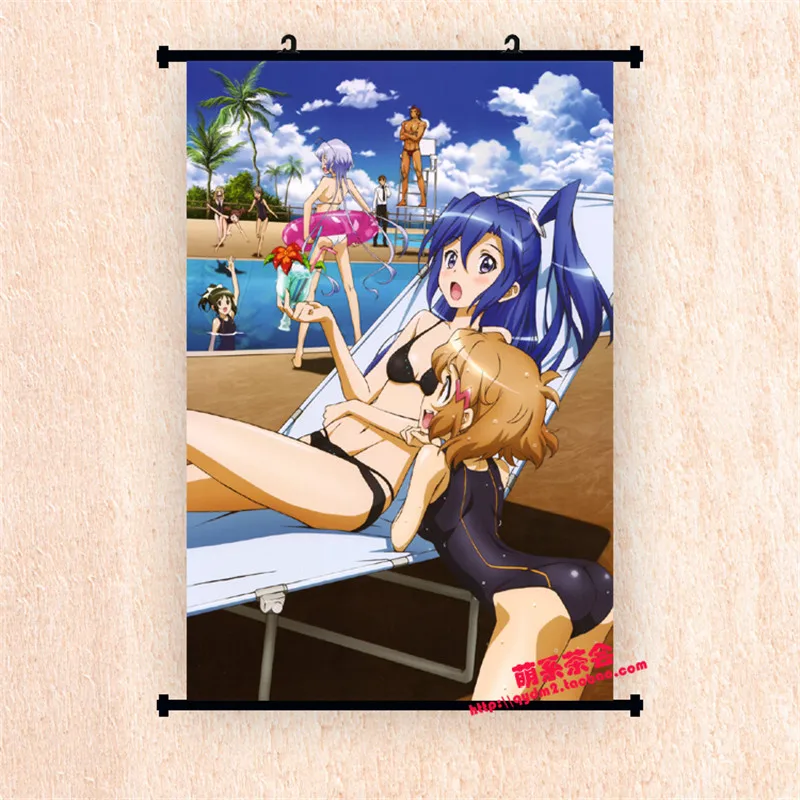 Декоративная картина в японском стиле аниме Senki Zessho Symphogear юкин Крис кохината амоу