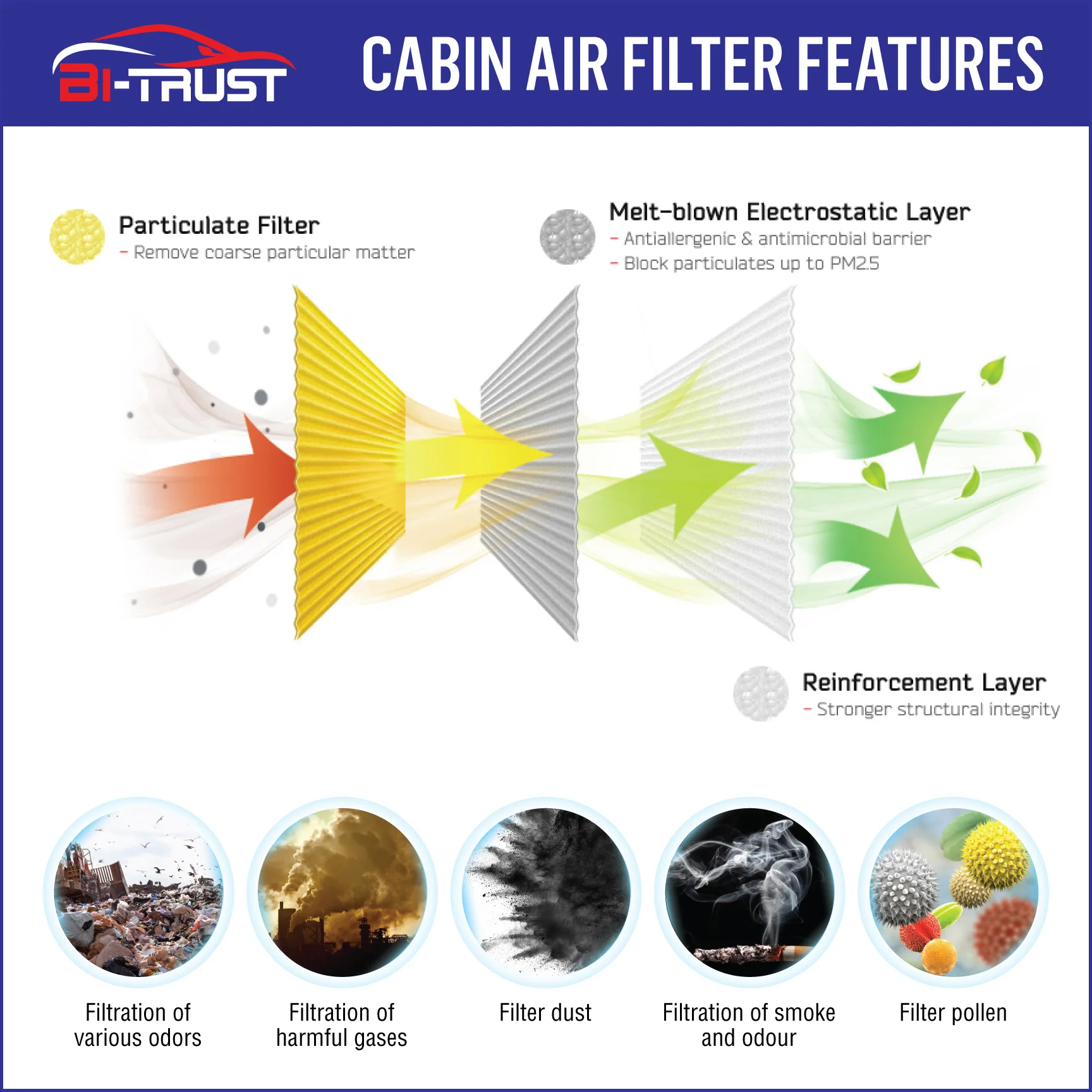 

Bi-Trust Cabin Air Filter CF10139,Replacement for Scion xB xA 2004-2006 Tc 2005-2010 RAV4 2001-2005 Toyota Echo 2000-2005