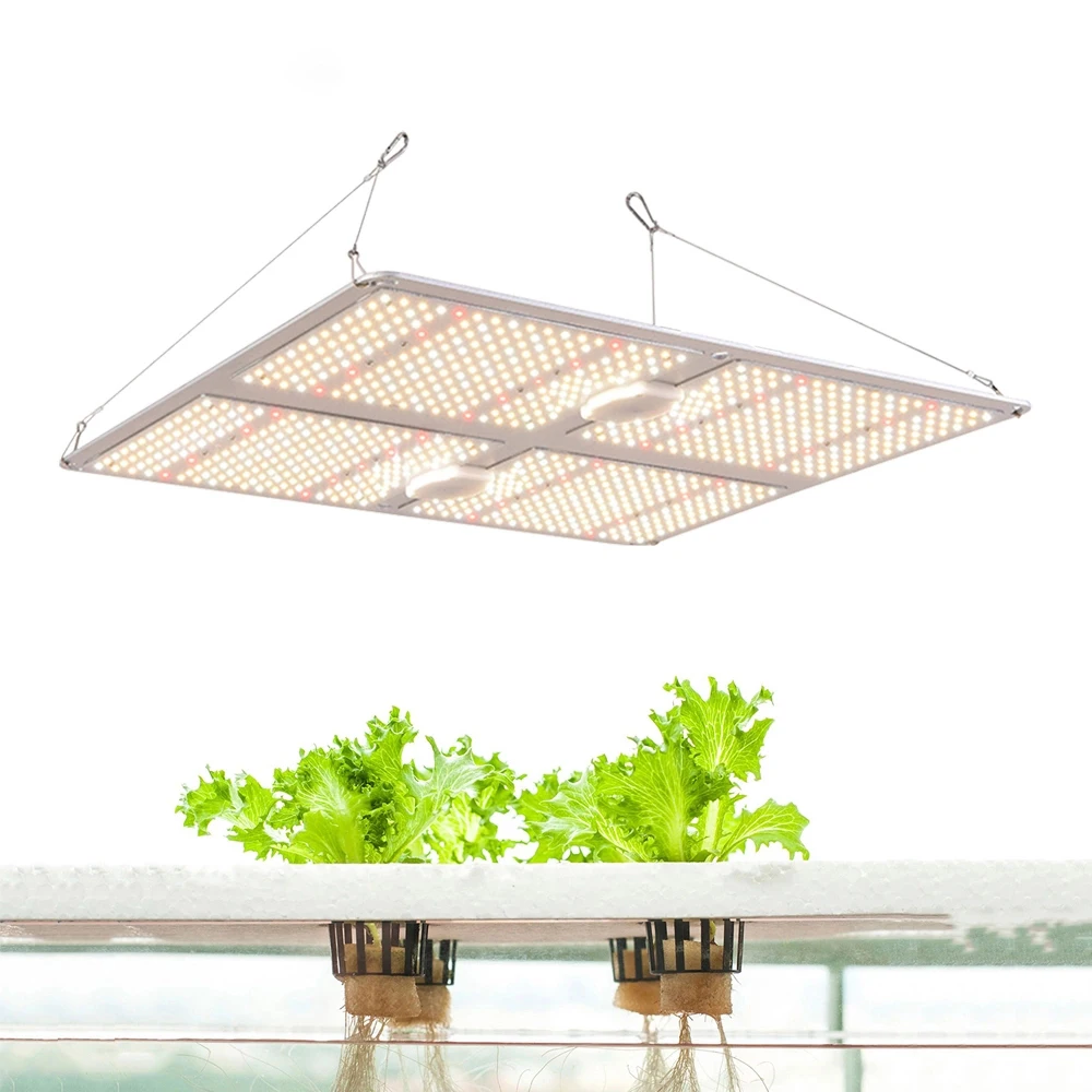 110w/220w/450w/600w  Full Spectrum Phyto Lamp For Greenhouse Hydroponic Plant