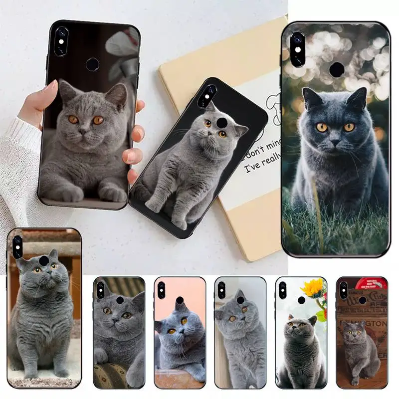 

British Shorthair cat cute animal Phone Case For Xiaomi Redmi note 7 8 9 11 t s 10 A pro lite funda shell coque cover
