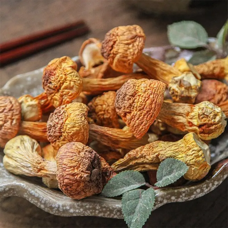 

Best Quality Dried Agaricus Blazei Murill Mushroom from China Agaricus blazei ji song rong